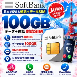 SB-100GB/月